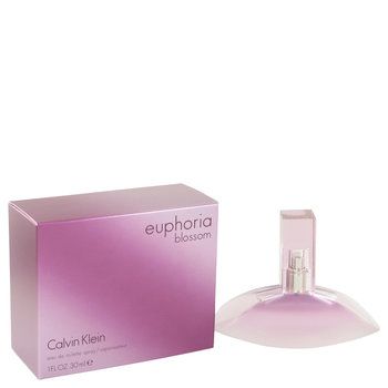 Euphoria calvin 2025 klein blossom